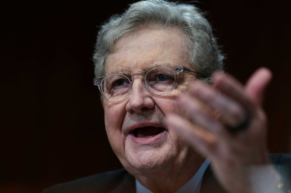 Conservative economist slams Sen. Kennedy's 'stay the course' energy remarks as 'political malpractice'