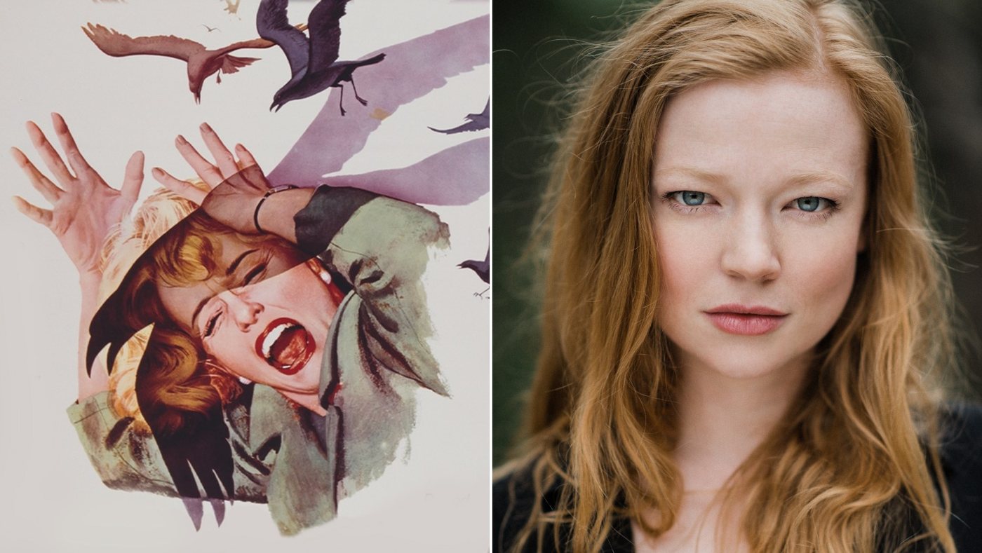 Sarah Snook lands lead role in HBO limited series The Birds