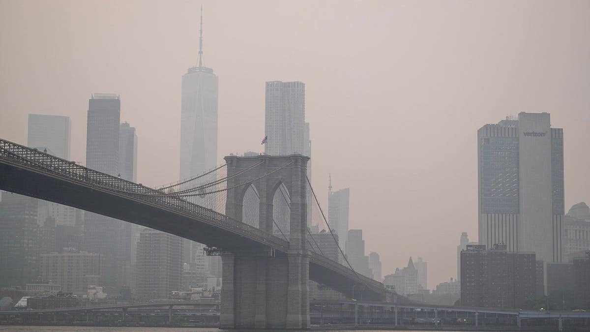 Congress Urged to Pass Wildfire Smoke Legislation as Canadian Fires Choke U.S. Cities