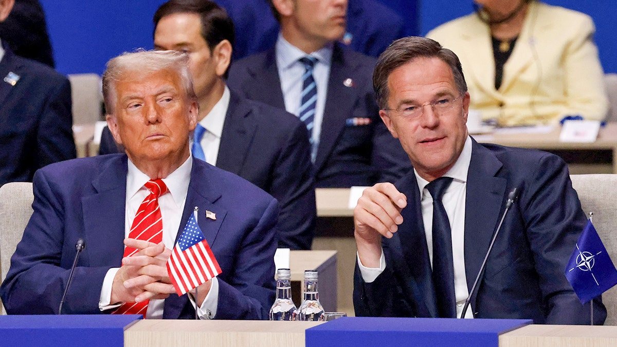 Americans Still Back NATO but Expect Europe to Increase Defense Spending, Poll Finds