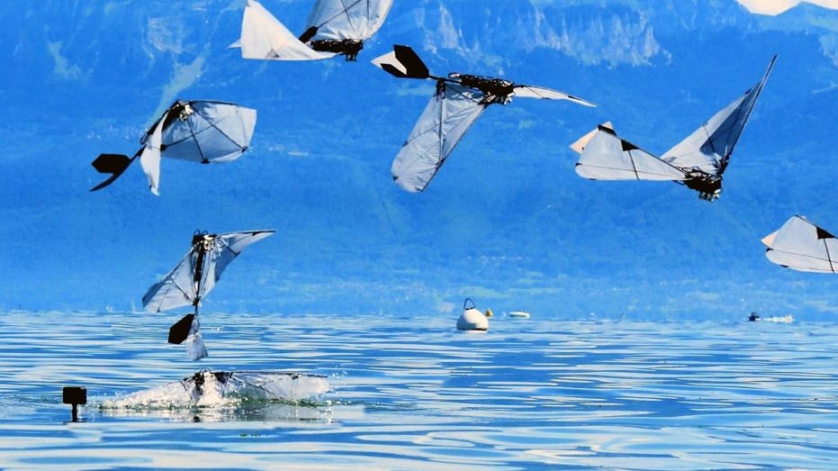 MIT and EPFL engineers build robotic bird that flies, dives, and swims underwater