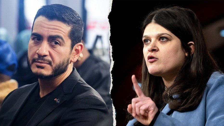 Michigan Senate primary becomes key test in Democratic civil war