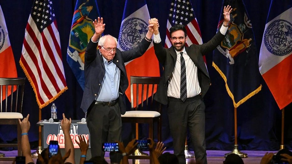 New York Mayor Mamdani Says Democratic Party Is Run by Consultants and Big Money